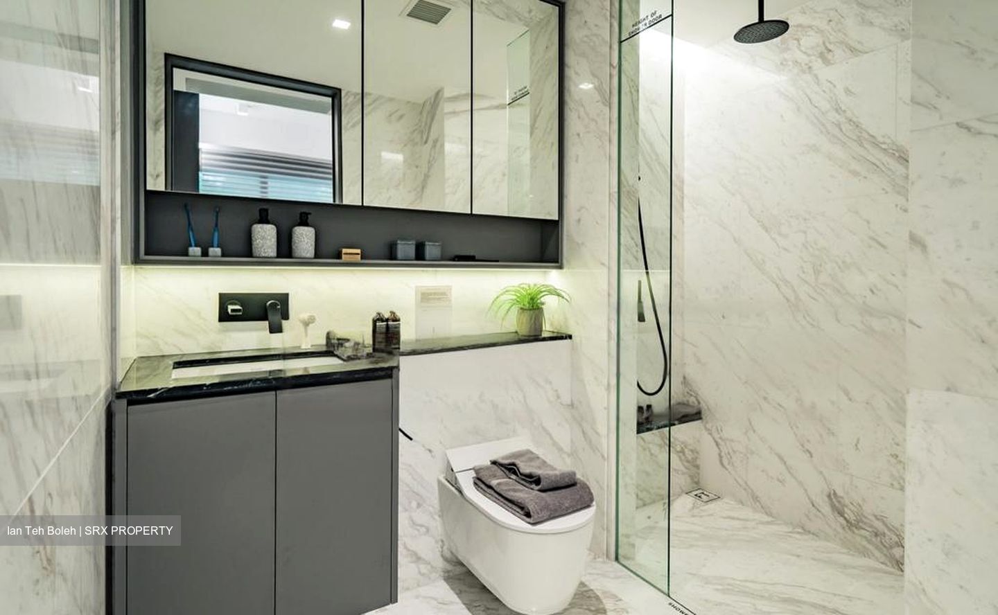 The Landmark (D3), Condominium #469744721